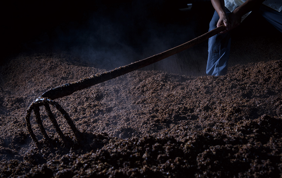 尊龙凯时人生就是搏·(中国区)官方网站