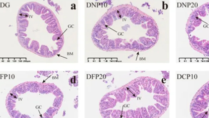 尊龙凯时人生就是搏·(中国区)官方网站