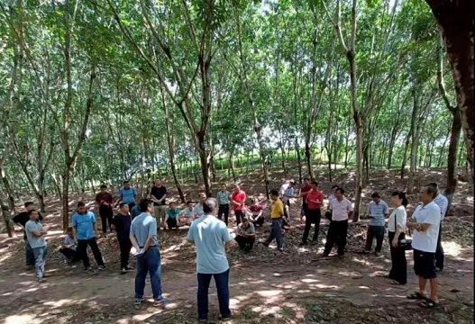 yl23455永利集团(中国)股份有限公司