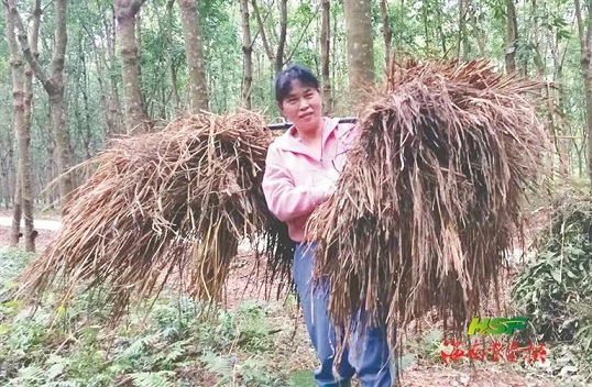 yl23455永利集团(中国)股份有限公司