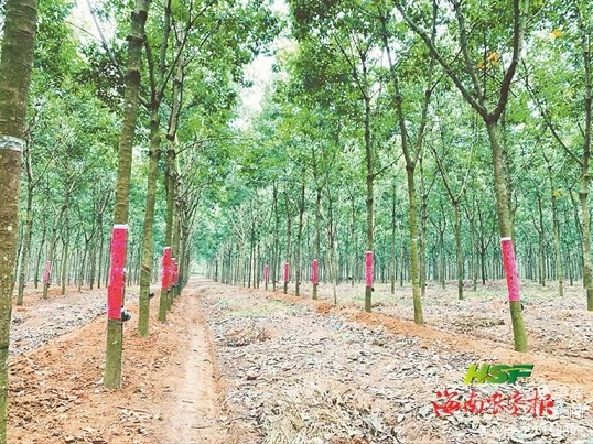 yl23455永利集团(中国)股份有限公司