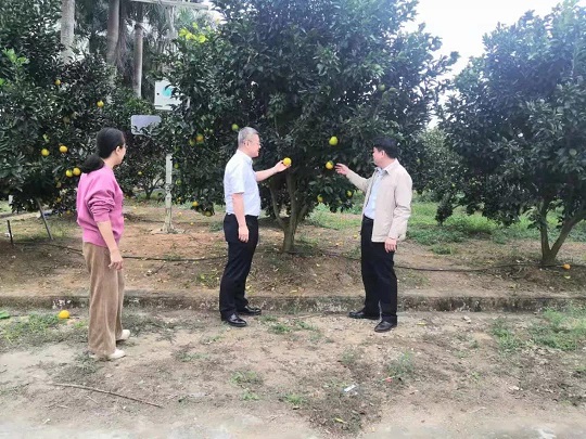yl23455永利集团(中国)股份有限公司