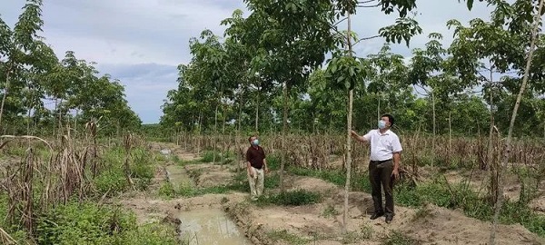 yl23455永利集团(中国)股份有限公司