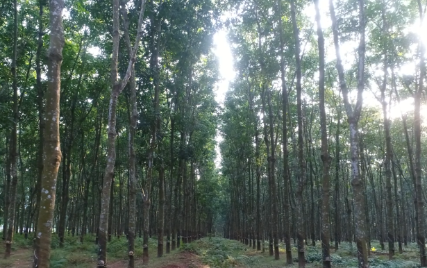 yl23455永利集团(中国)股份有限公司