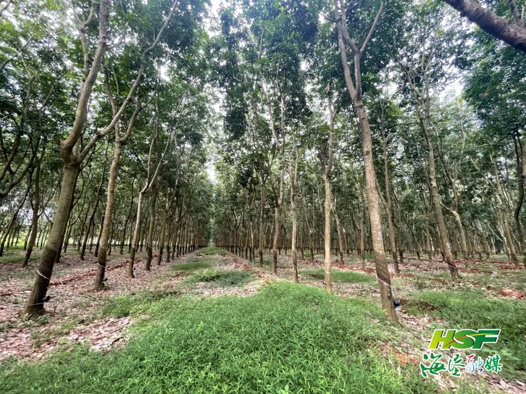 yl23455永利集团(中国)股份有限公司