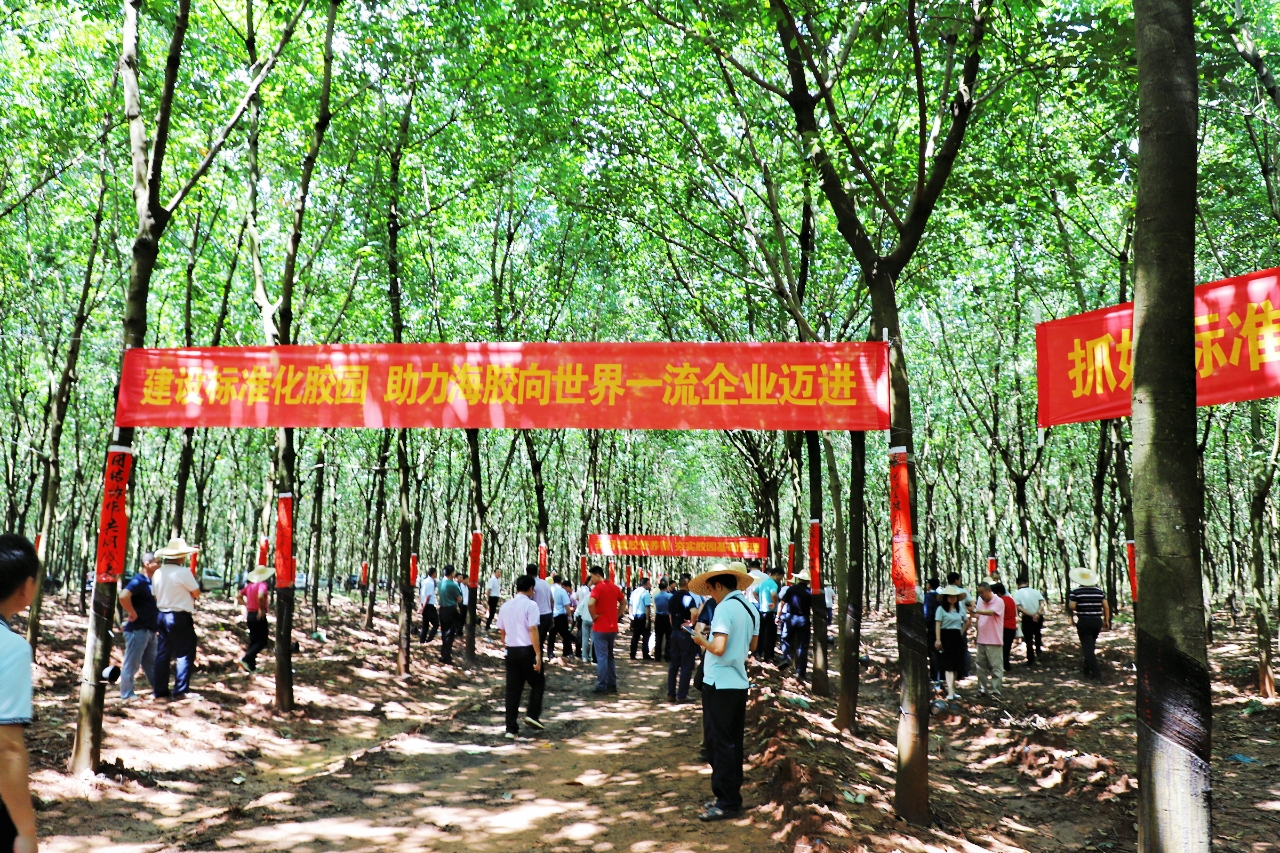 yl23455永利集团(中国)股份有限公司